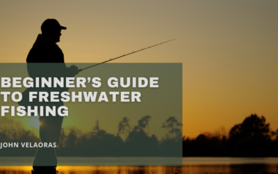 Beginner’s Guide To Freshwater Fishing