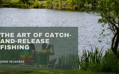 The Art Of Catch-And-Release Fishing