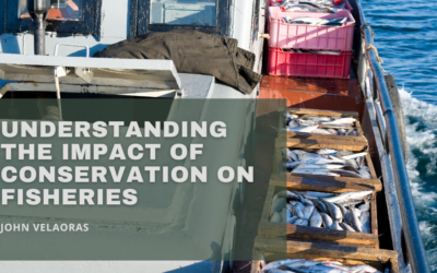 Understanding The Impact Of Conservation On Fisheries